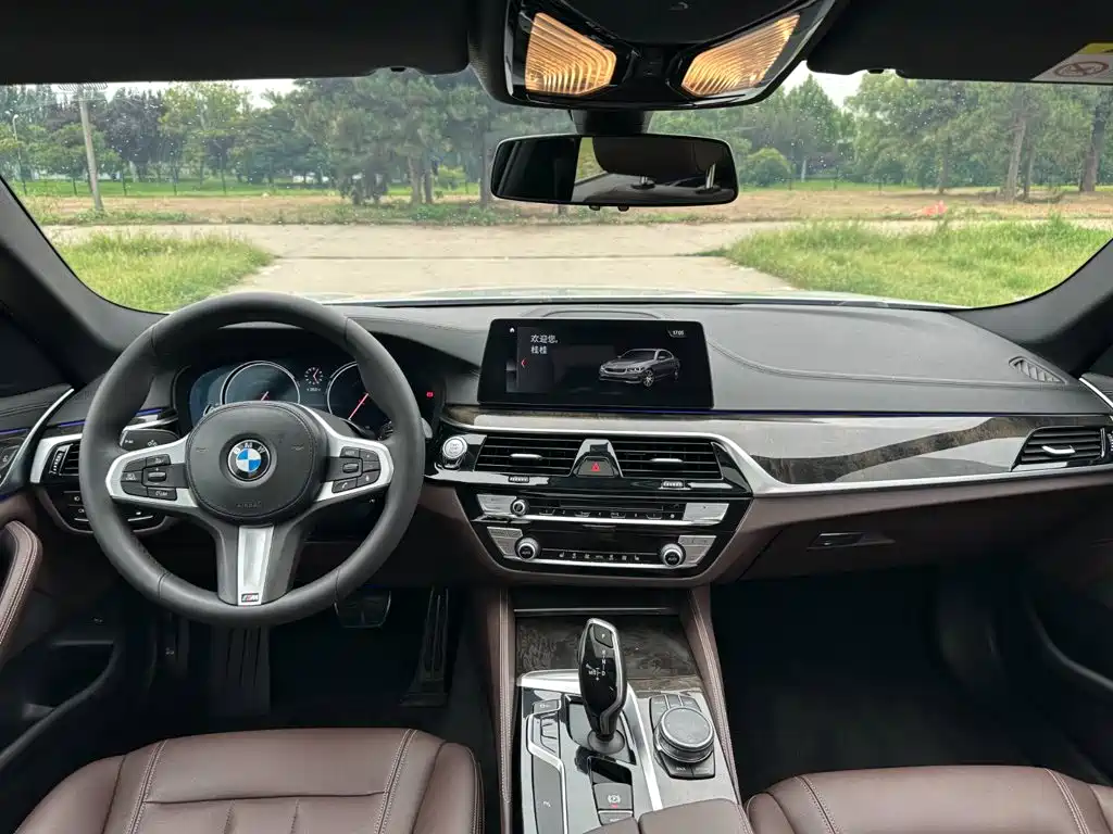 BMW 5 Series 2018 — фото 10