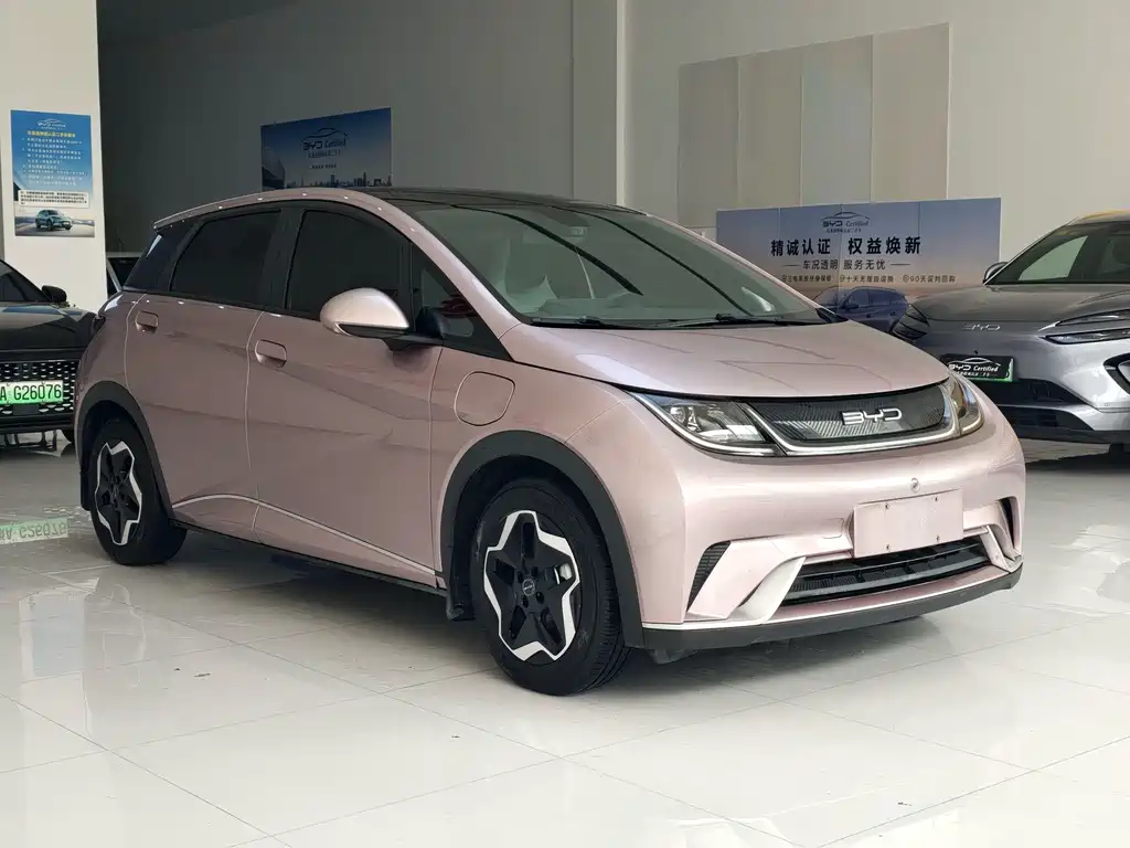 BYD Dolphin 2022