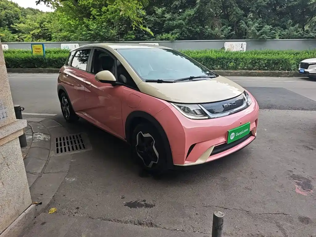 BYD Dolphin 2021