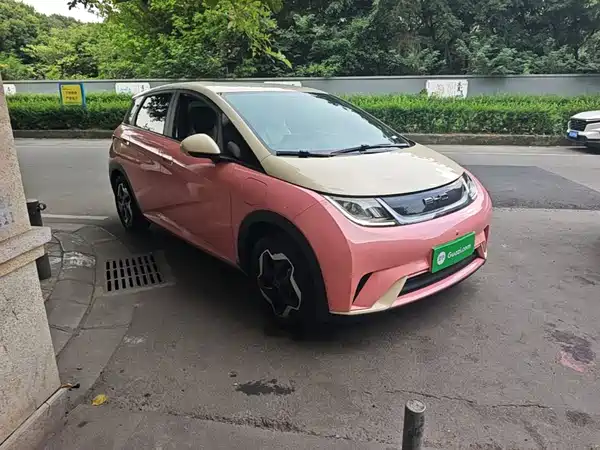 BYD Dolphin 2021