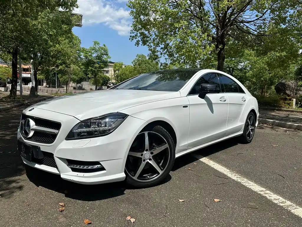 Mercedes-Benz CLS 2013 — фото 1