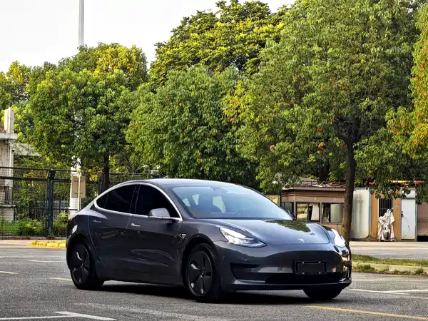 Tesla Model 3 2020