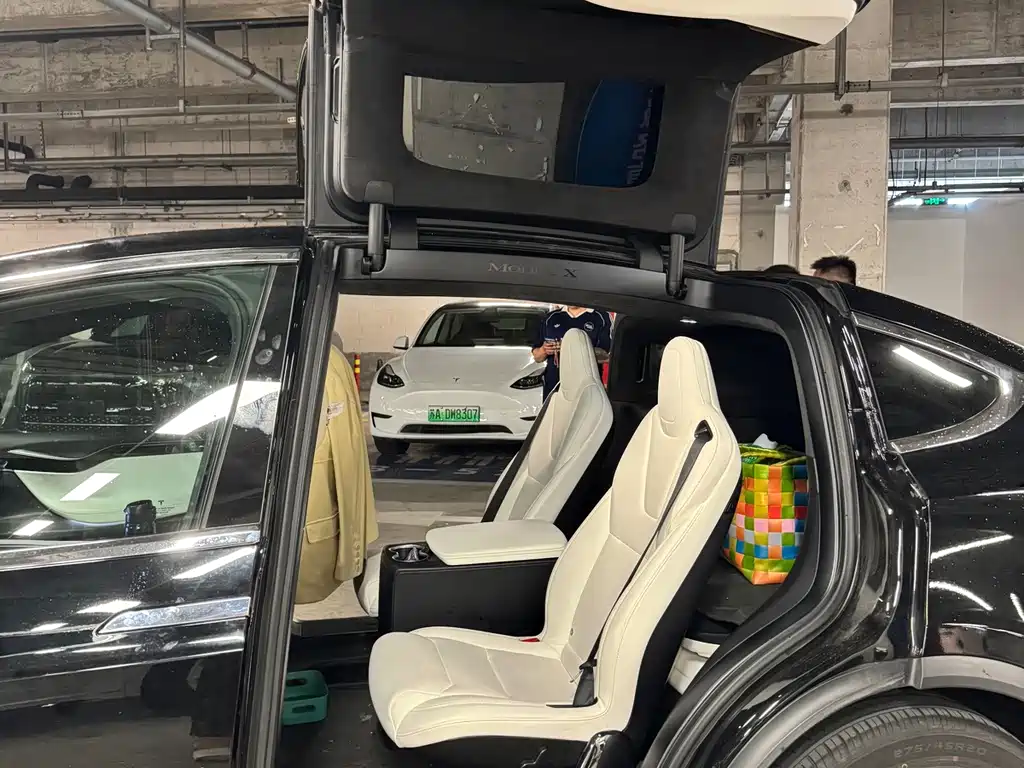 Tesla Model X 2018 — фото 8