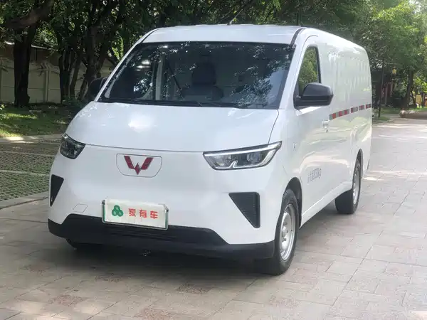 Wuling Yangguang 2024
