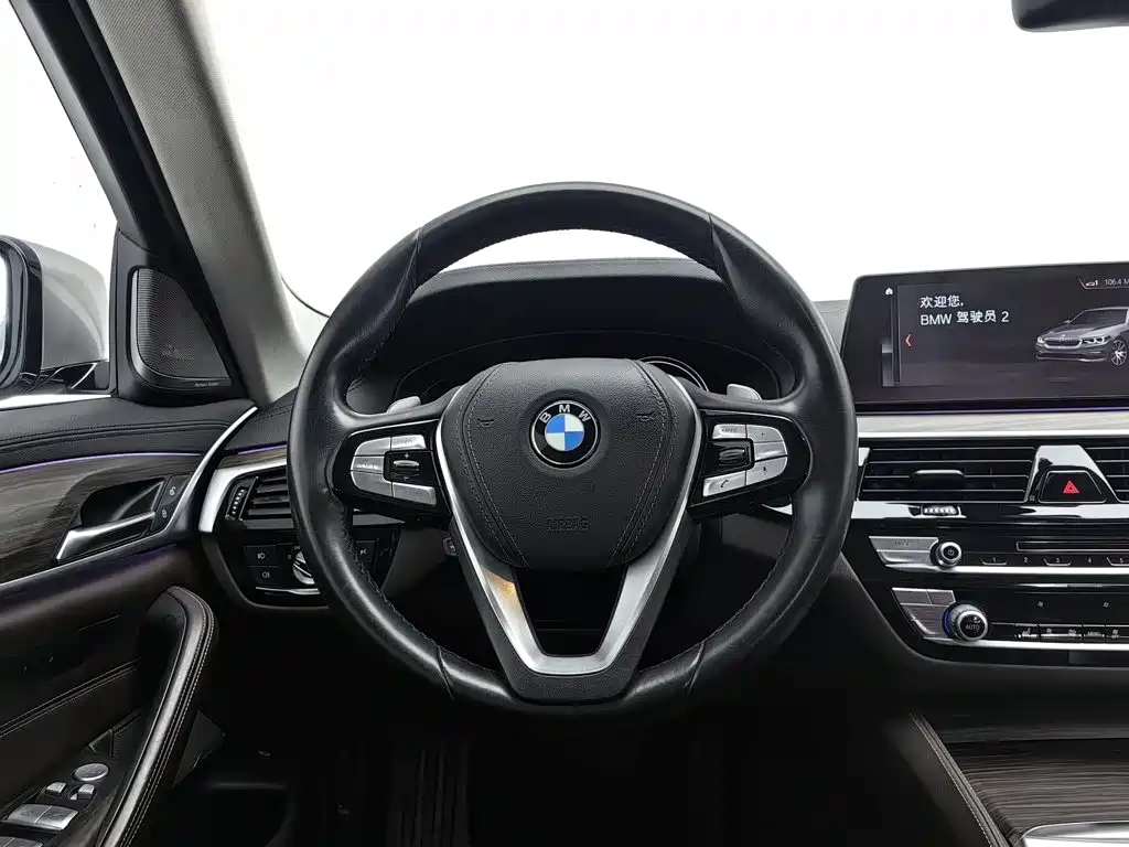 BMW 5 Series 2018 — фото 11