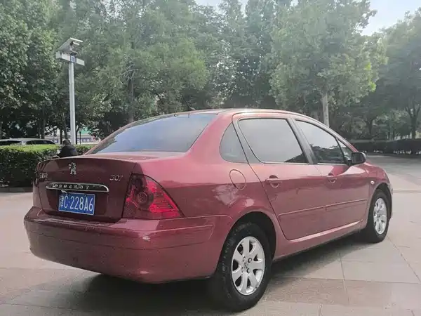 Peugeot 307 2009