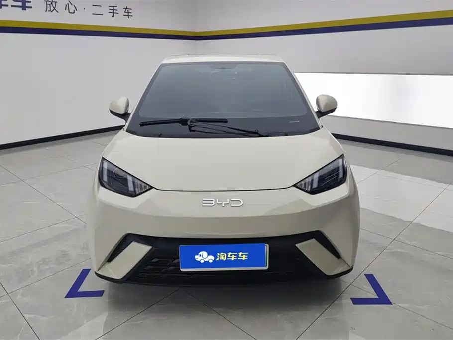 BYD Seagull 2024
