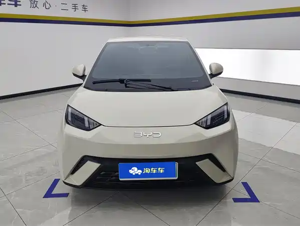 BYD Seagull 2024