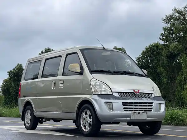 Wuling Rongguang 2013