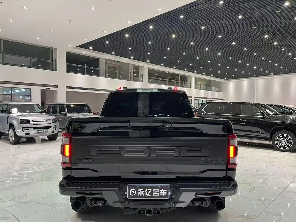 Ford F-150 Raptor 2023 — фото 13