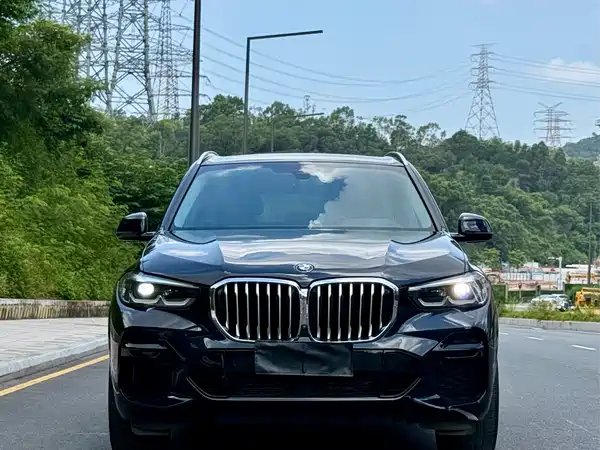BMW X5 2022