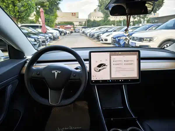 Tesla Model 3 2020