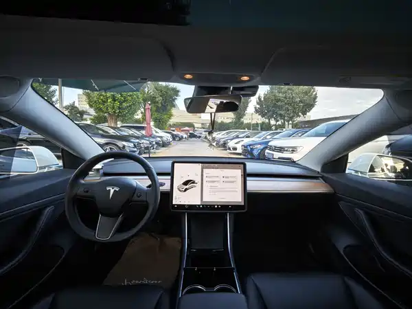 Tesla Model 3 2020