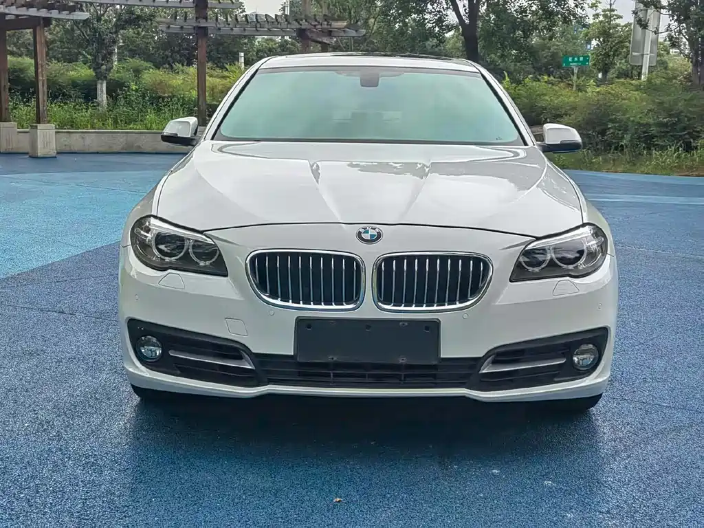 BMW 5 Series 2014 — фото 2