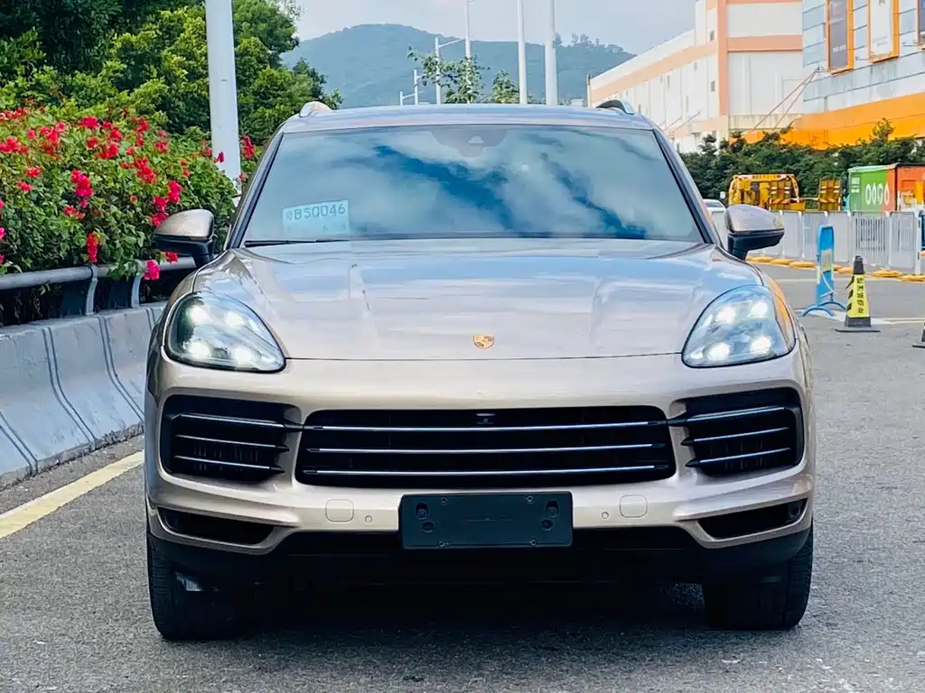 Porsche Cayenne 2019 — фото 8