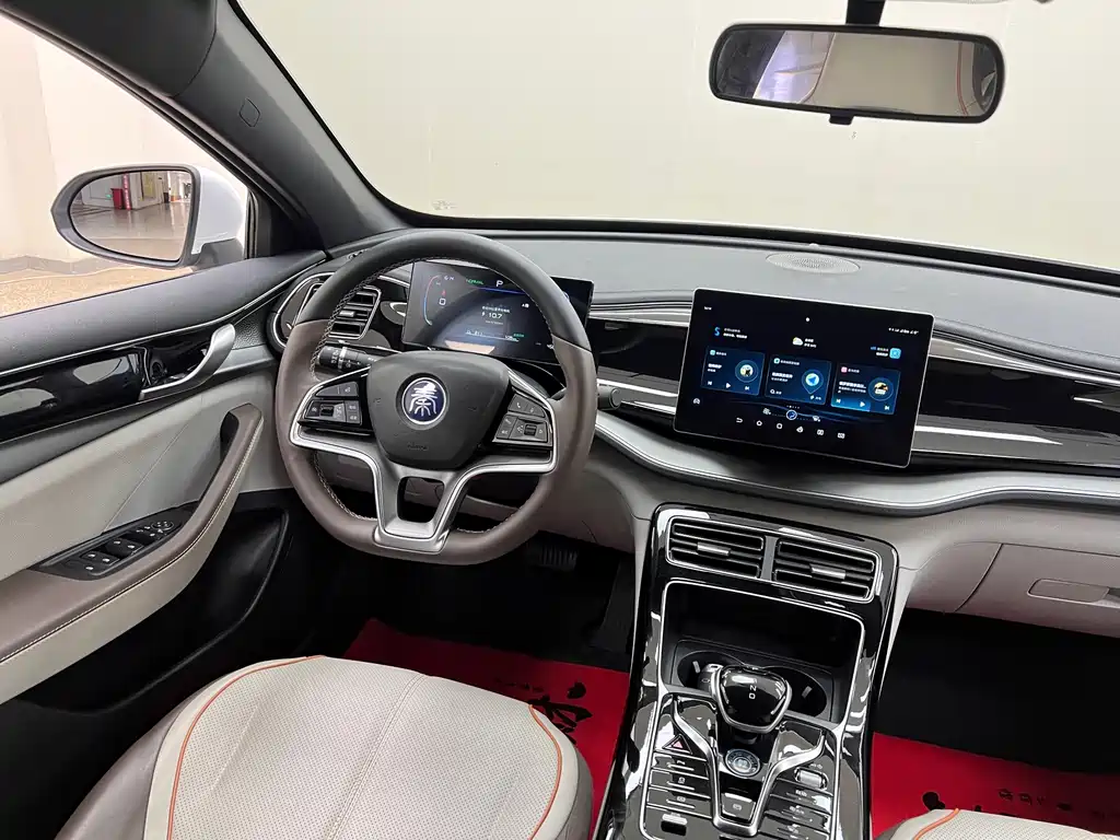 BYD Qin PLUS 2024 — фото 21