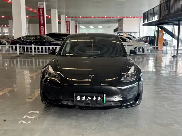 Tesla Model 3 2021