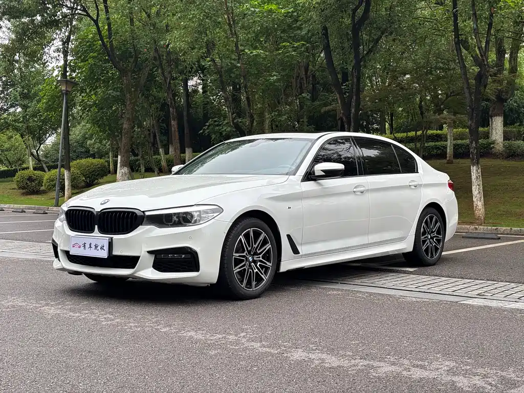 BMW 5 Series 2018