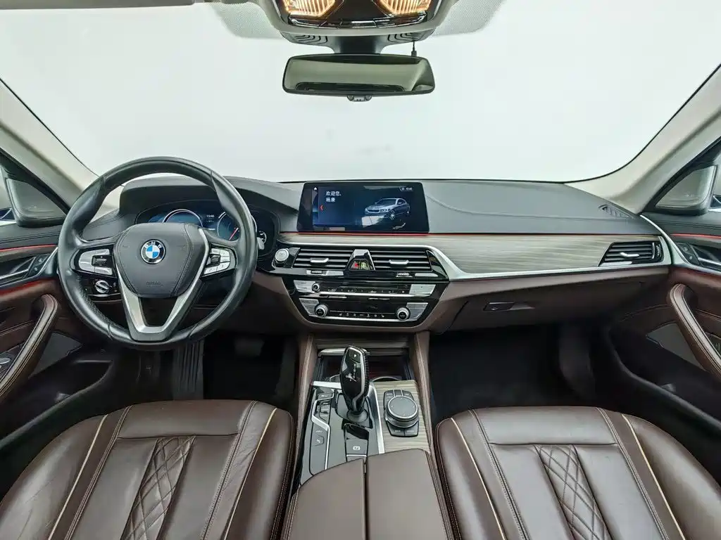 BMW 5 Series New Energy 2018