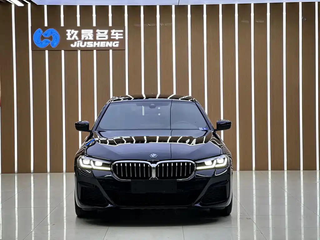 BMW 5 Series New Energy 2022 — фото 17