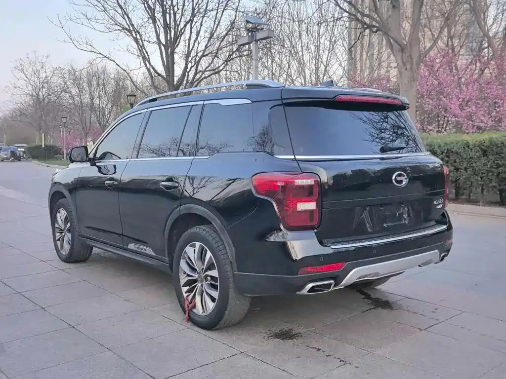 GAC Trumpchi GS8 2017 — фото 6