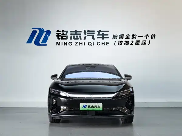 BYD Han 2021