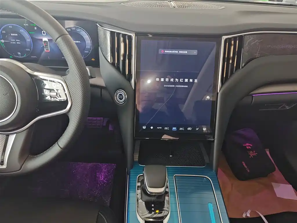 Hongqi HS7 PHEV 2025 — фото 9