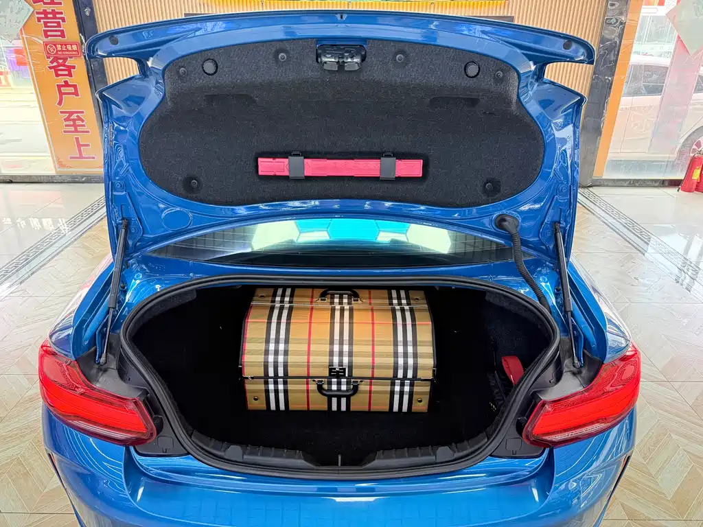 BMW M2 2018 — фото 19