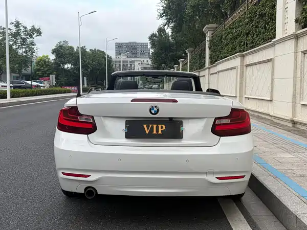 BMW 2 Series 2015