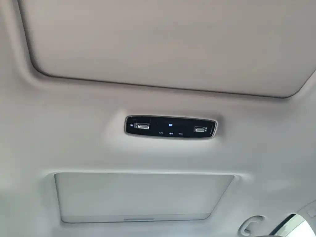 Roewe iMAX8 New Energy 2025 — фото 18