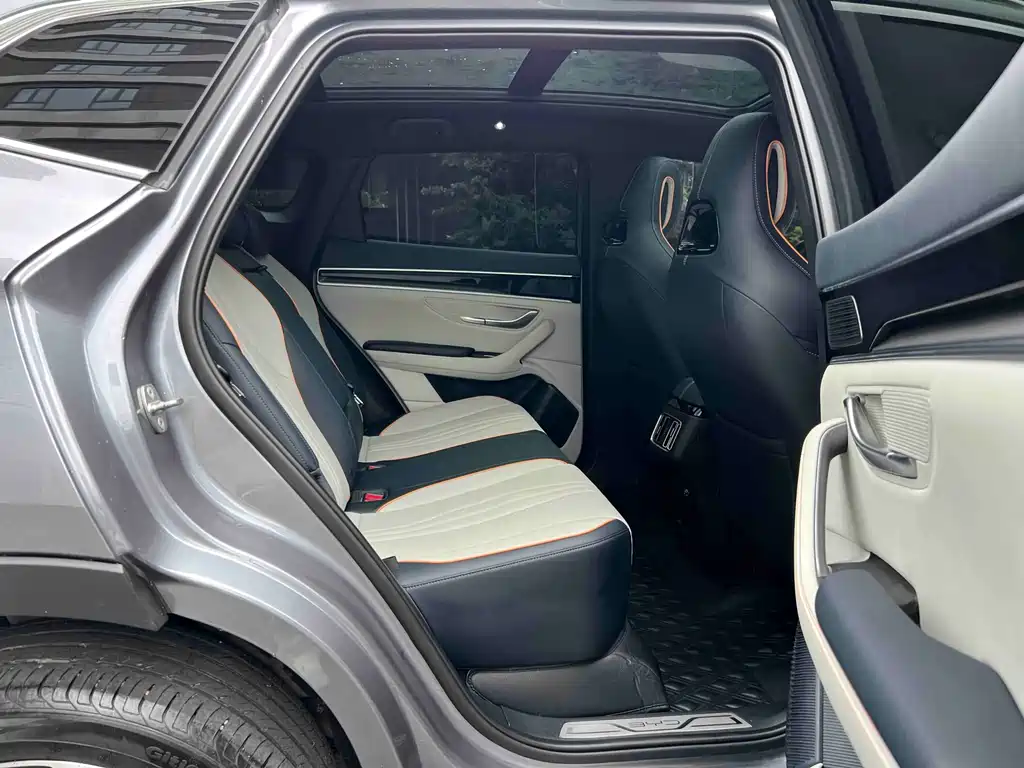 BYD PLUS New Energy 2023 — фото 15