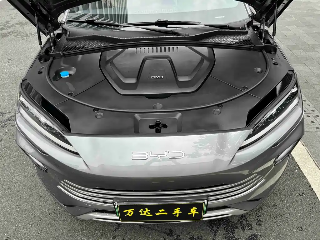 BYD PLUS New Energy 2023 — фото 31