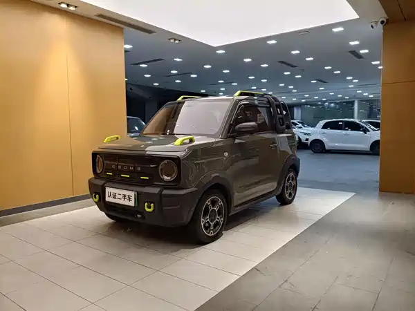 Geely Galaxy Panda 2024