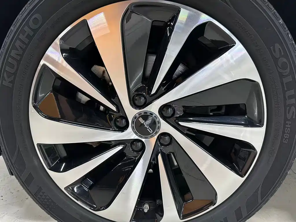 BYD Song PLUS New Energy 2024 — фото 13