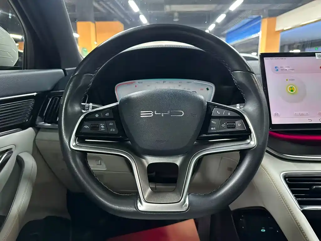 BYD Song PLUS New Energy 2024 — фото 10
