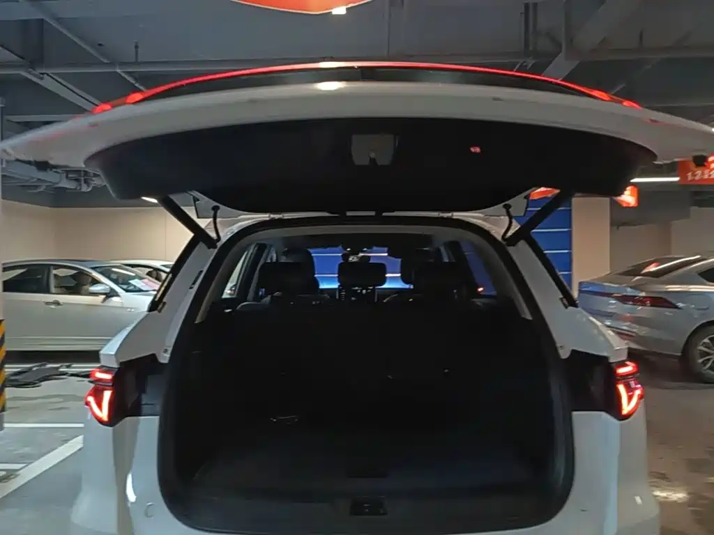 BYD Pro New Energy 2020 — фото 19