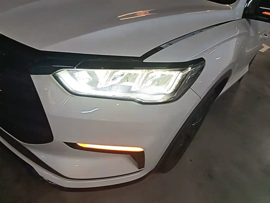 BYD Pro New Energy 2020 — фото 24