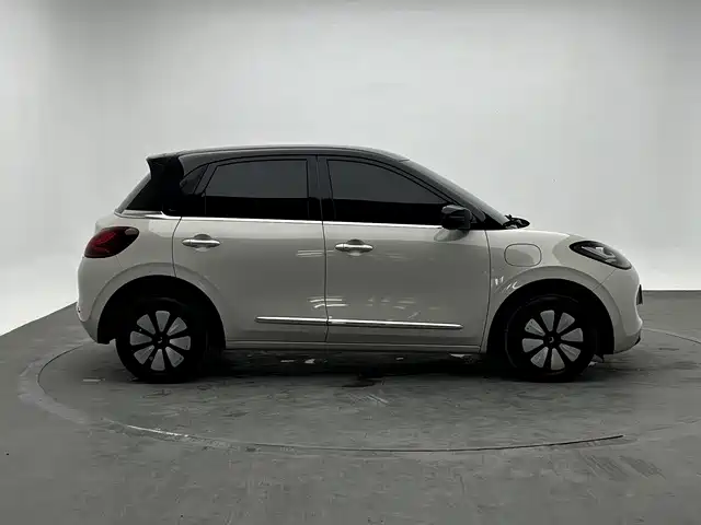 Wuling Bingo 2024