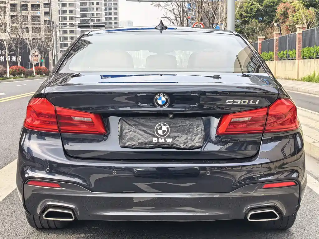 BMW 5 Series 2018 — фото 14