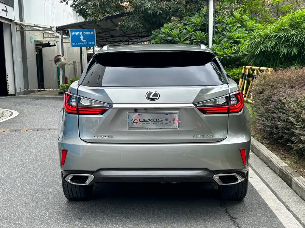 Lexus RX 2018 — фото 5