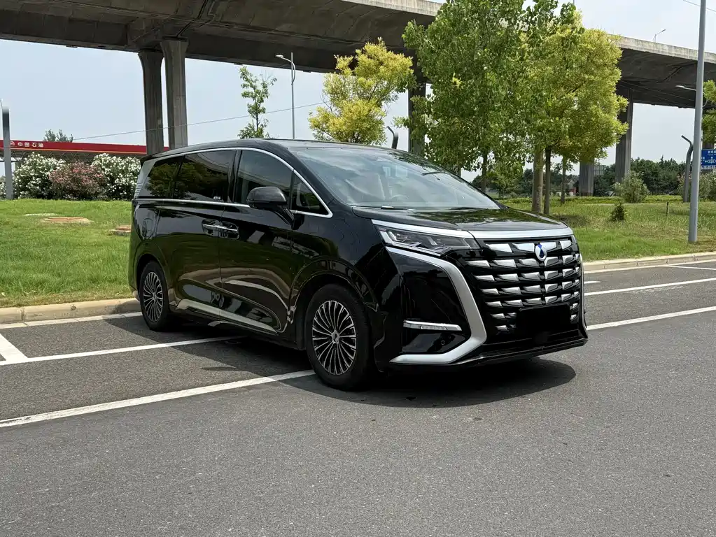 Denza D9 2023