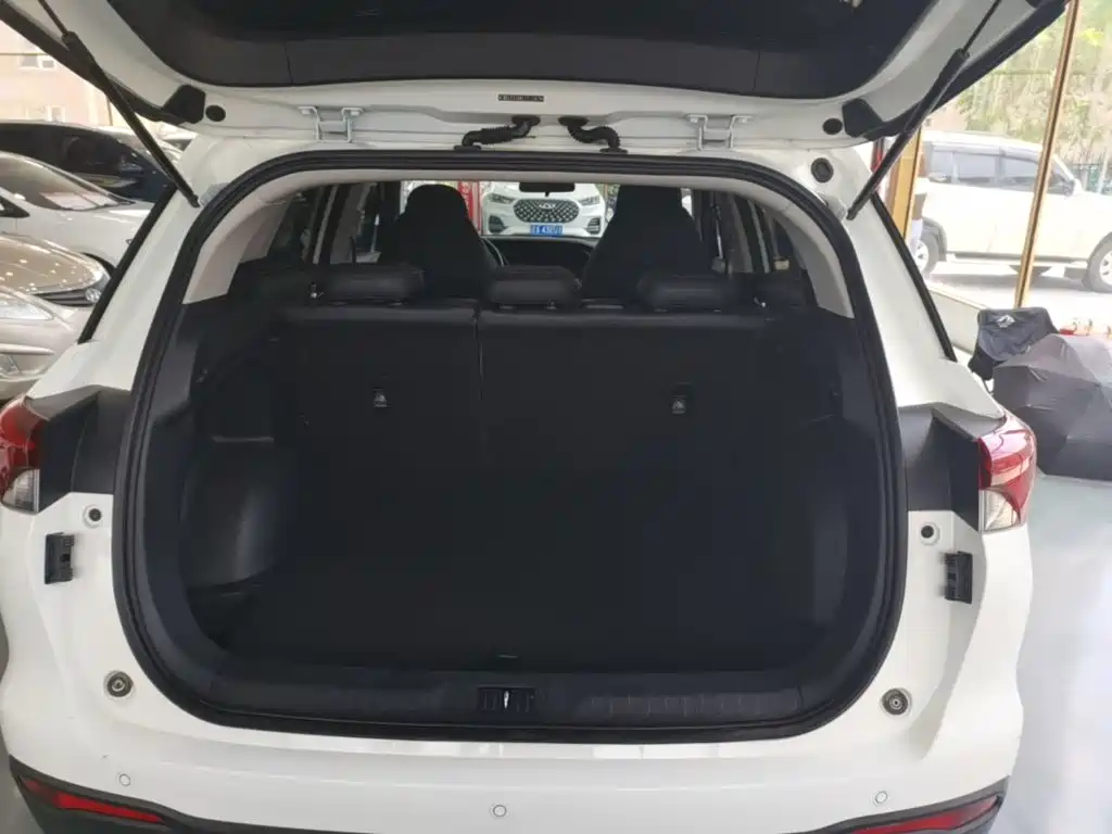 GAC Motor Trumpchi GS4 2020 — фото 19