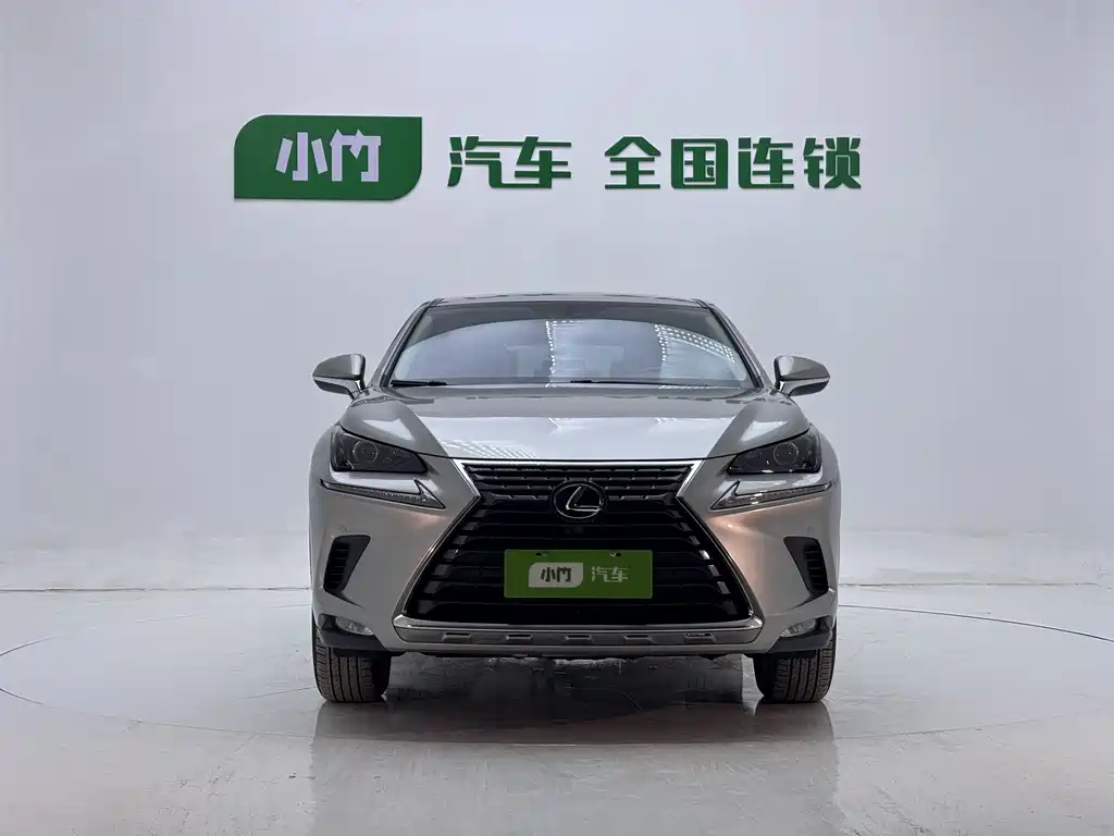 Lexus NX 2020 — фото 2