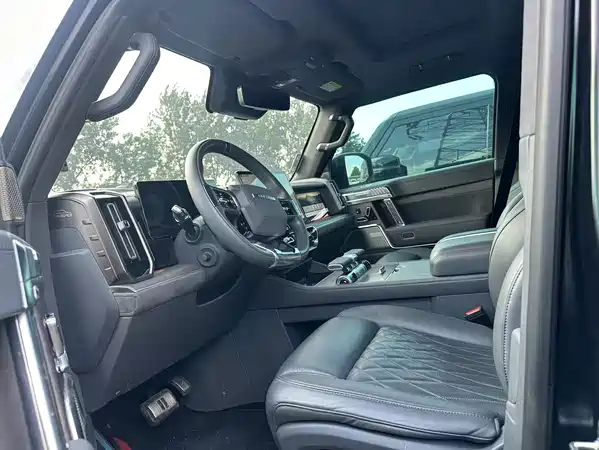 Mengshi 917 2024