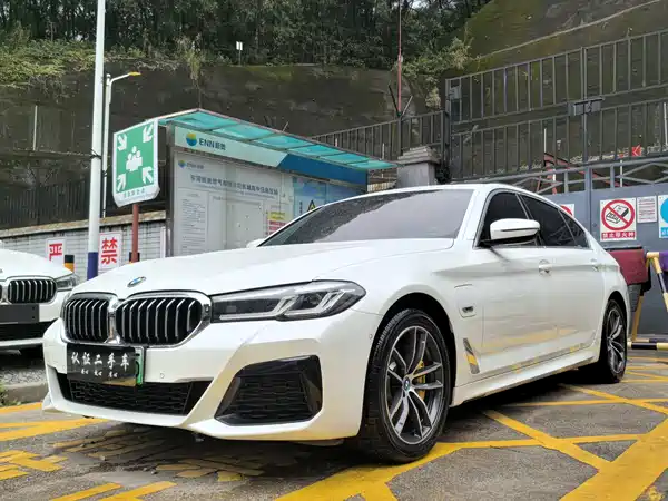 BMW 5 Series New Energy 2022
