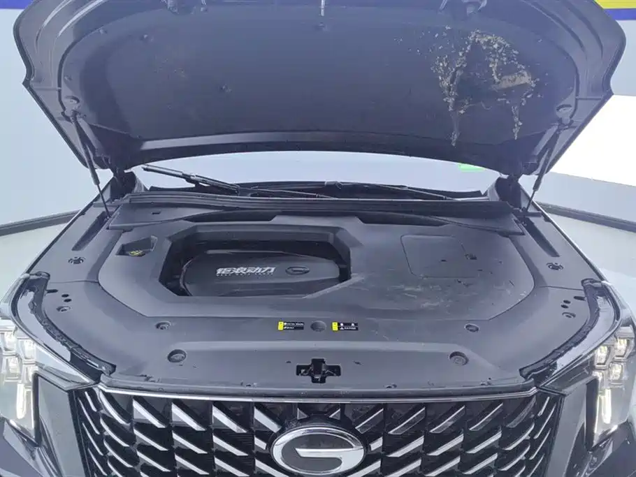 GAC Motor Trumpchi GS8 2021 — фото 10