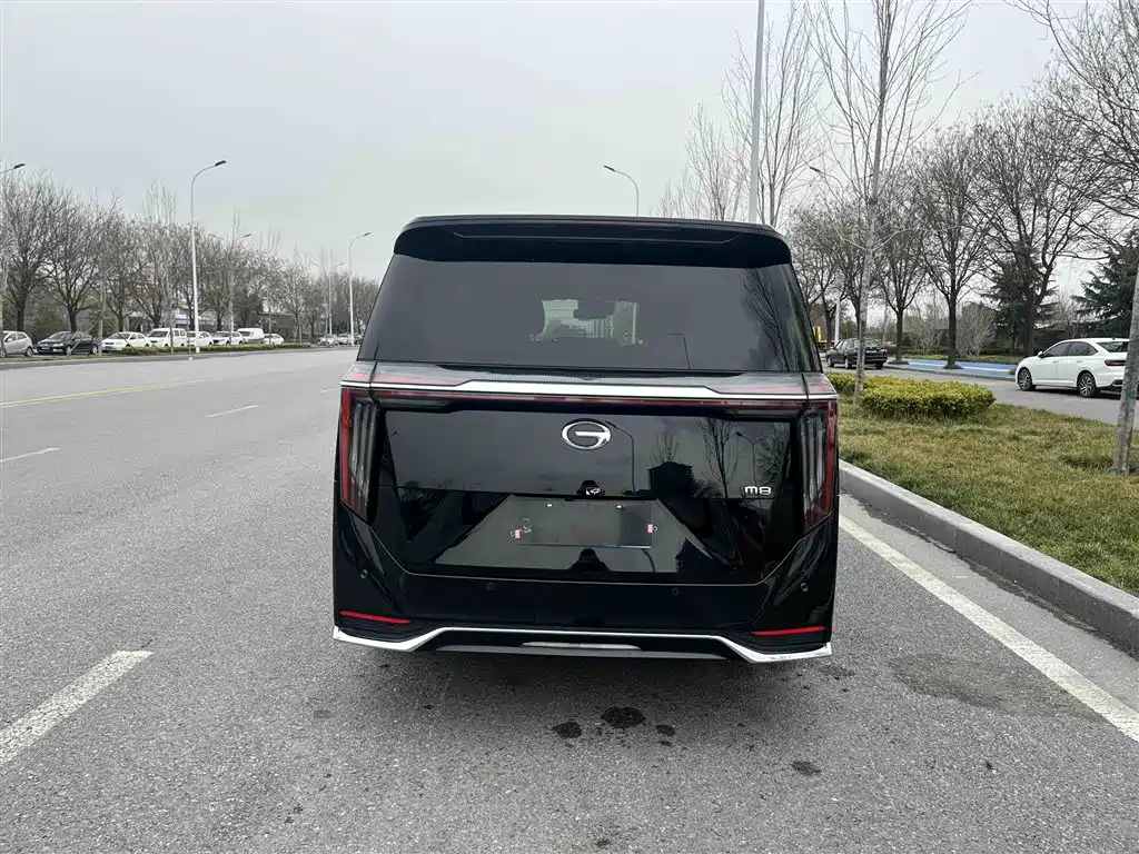 GAC Motor Trumpchi M8 2024 — фото 13