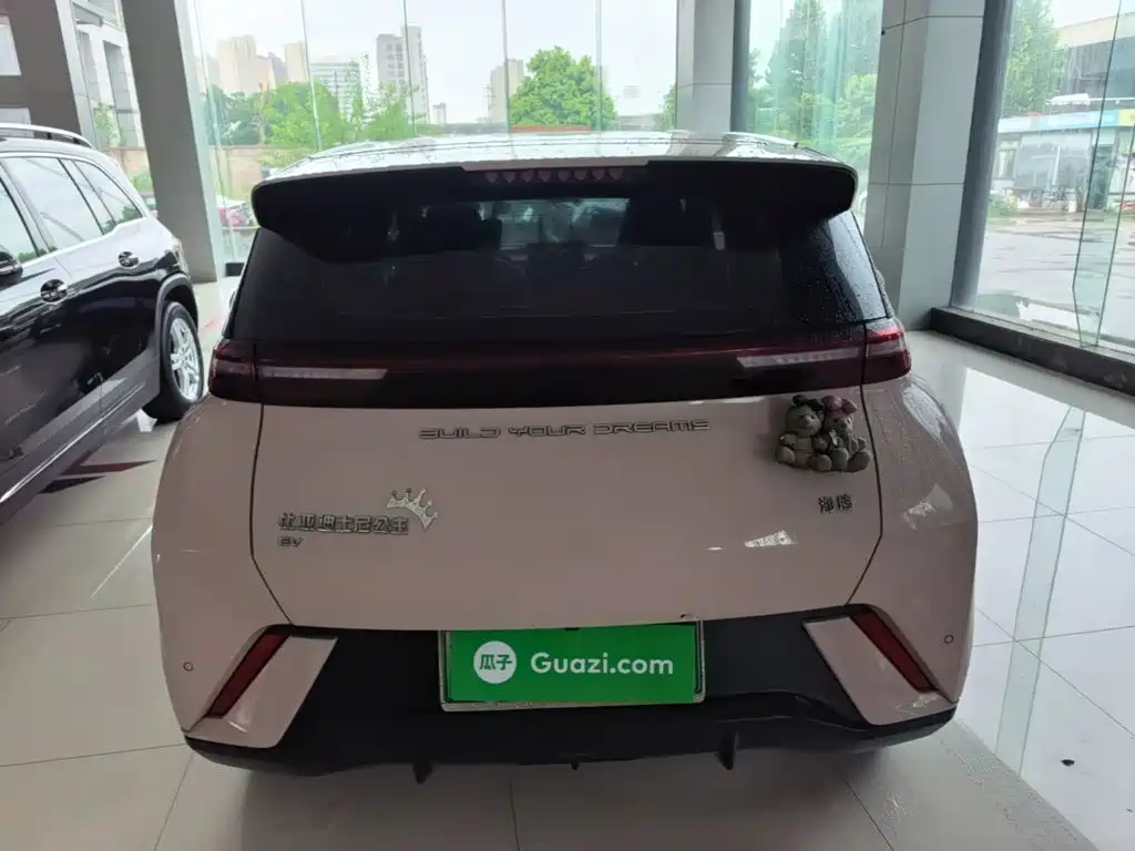 BYD Seagull 2024