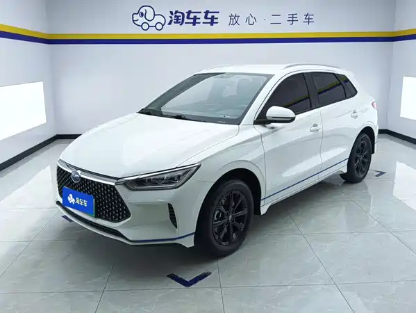 BYD e2 2021