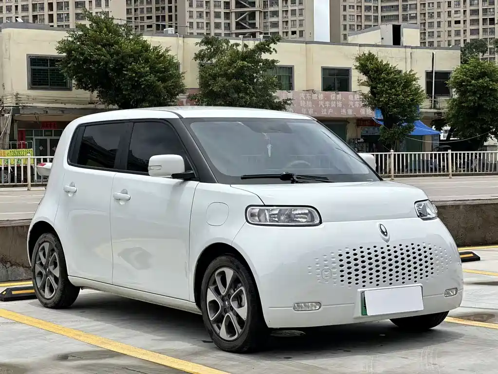 Ora White Cat 2022